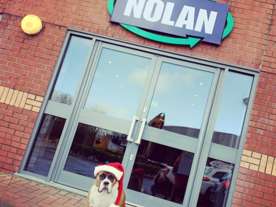 Nolan Recycling Ltd  denzel the dog outsize the office wearing a Christmas hat.